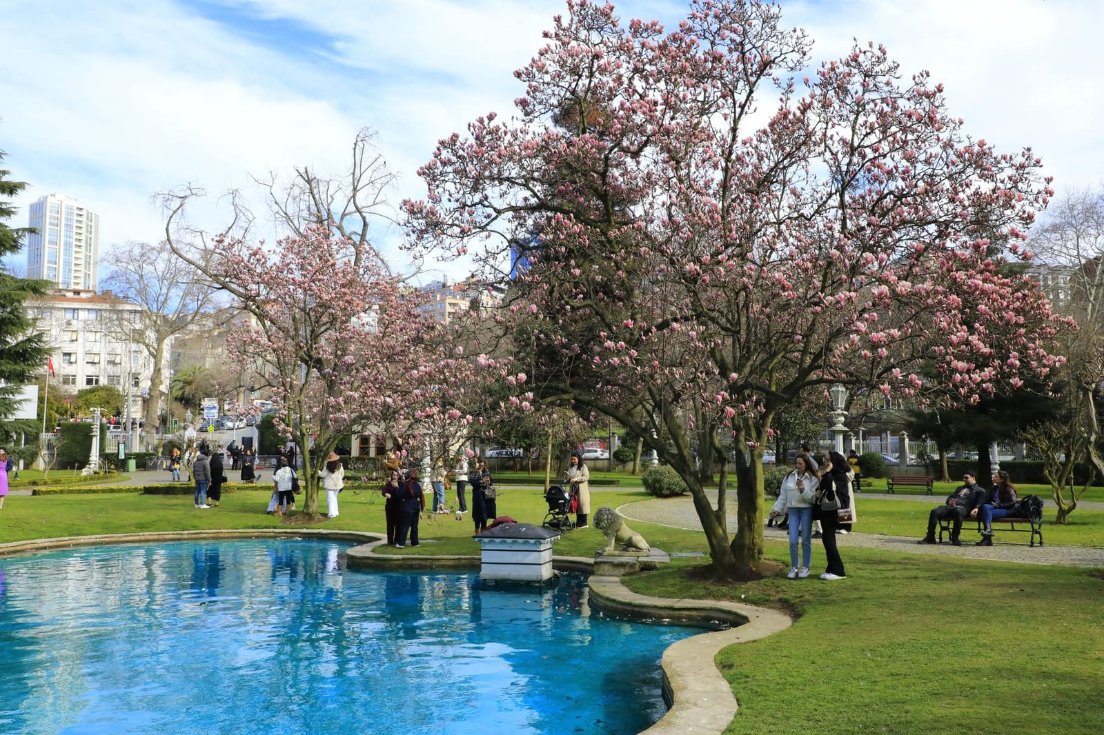 Turistas junto a magnolias en flor y un estanque en Estambul.