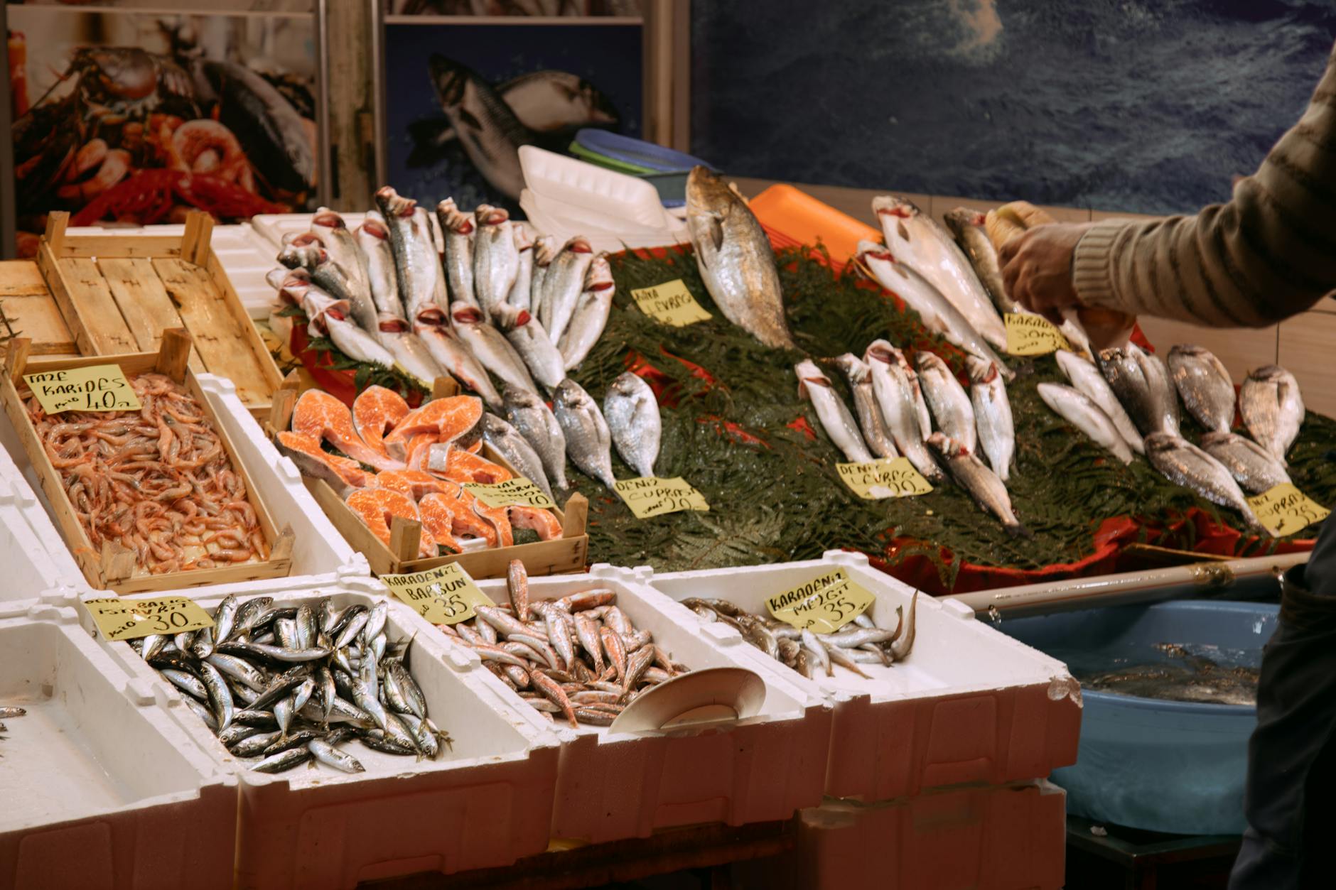 Pescado fresco expuesto con etiquetas de precios en un mercado de barrio en Estambul.