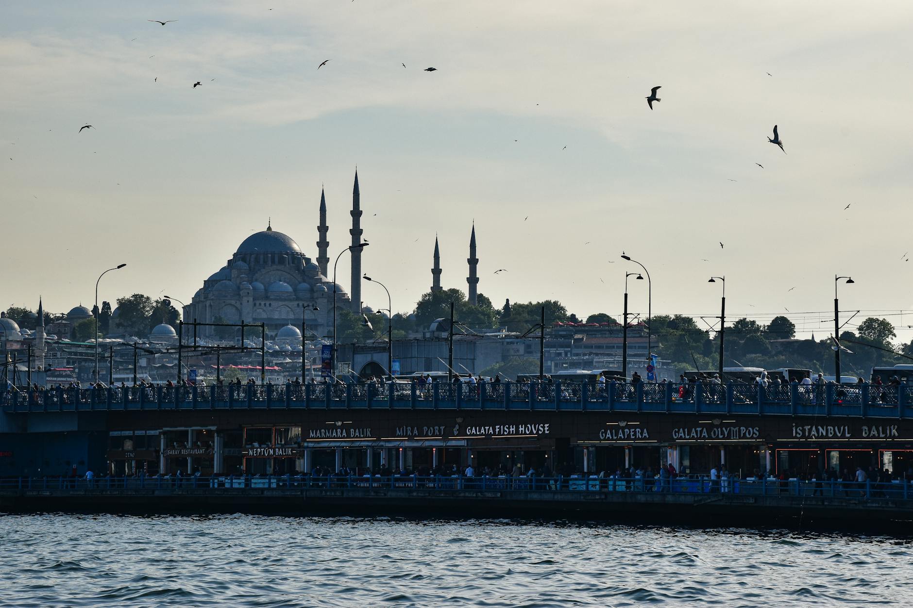 Vista panorámica del puente de Gálata con pescadores y la mezquita de Suleymaniye al fondo.