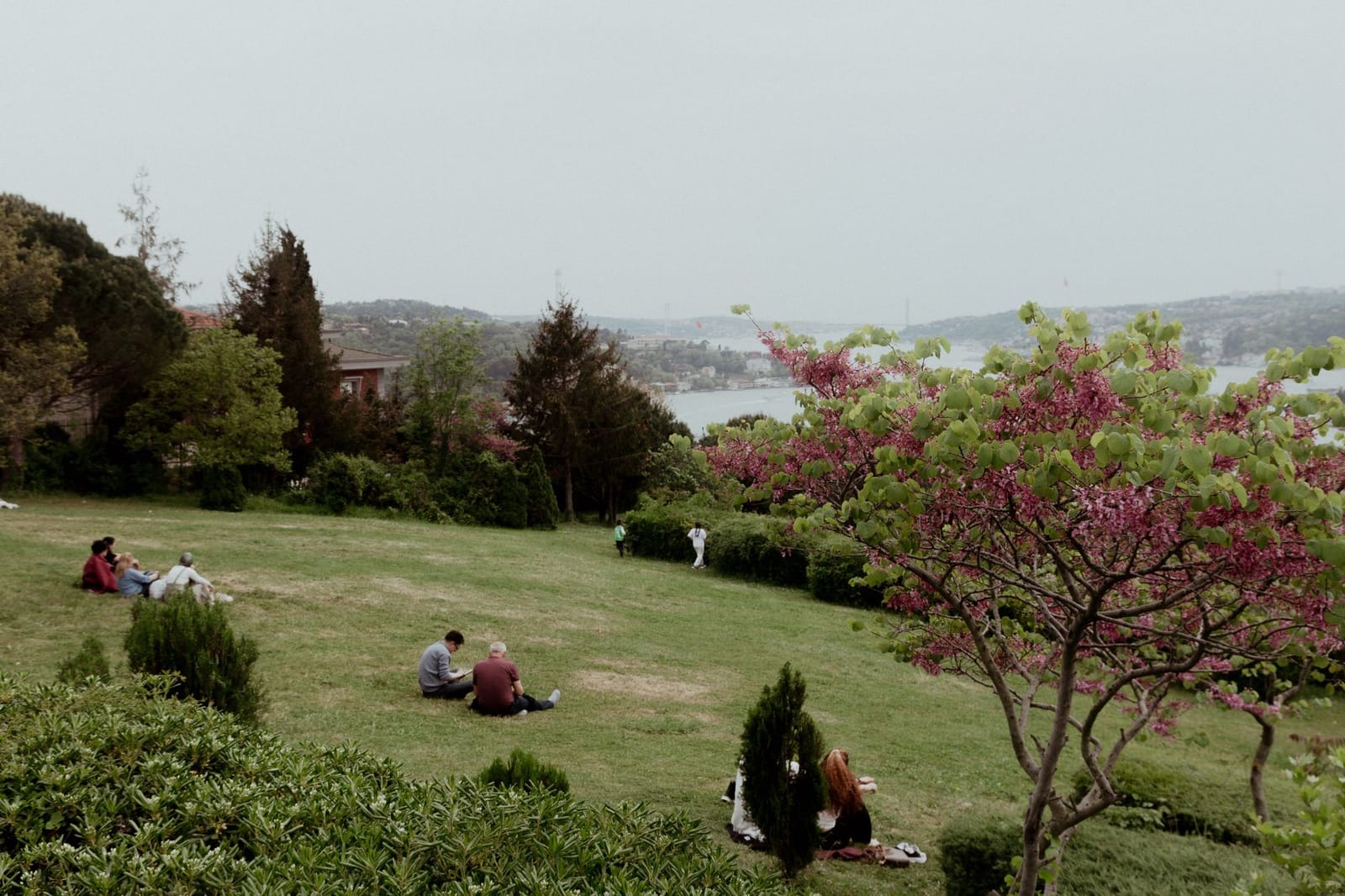 Personas descansando en un parque de Estambul frente al Bósforo en primavera.
