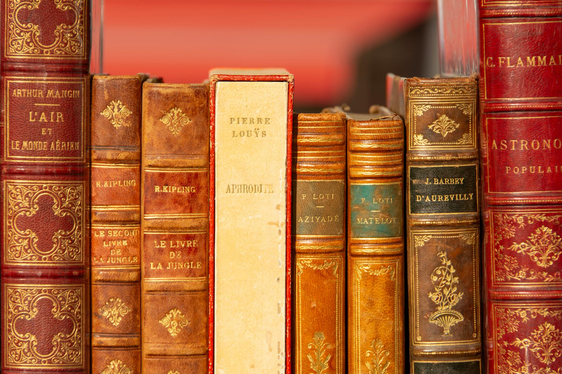 Colección de libros antiguos incluyendo obras del escritor francés Pierre Loti.