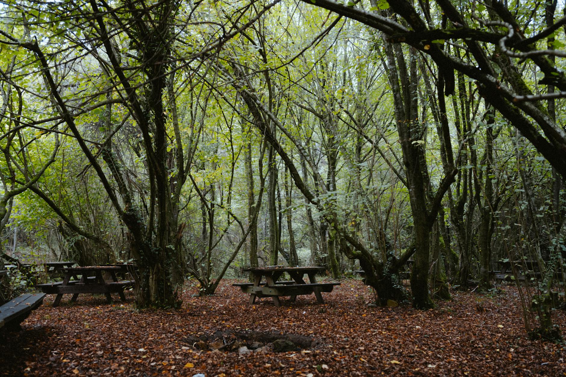 Ruta por Polonezköy con senderos naturales y consejos para comer en el campo