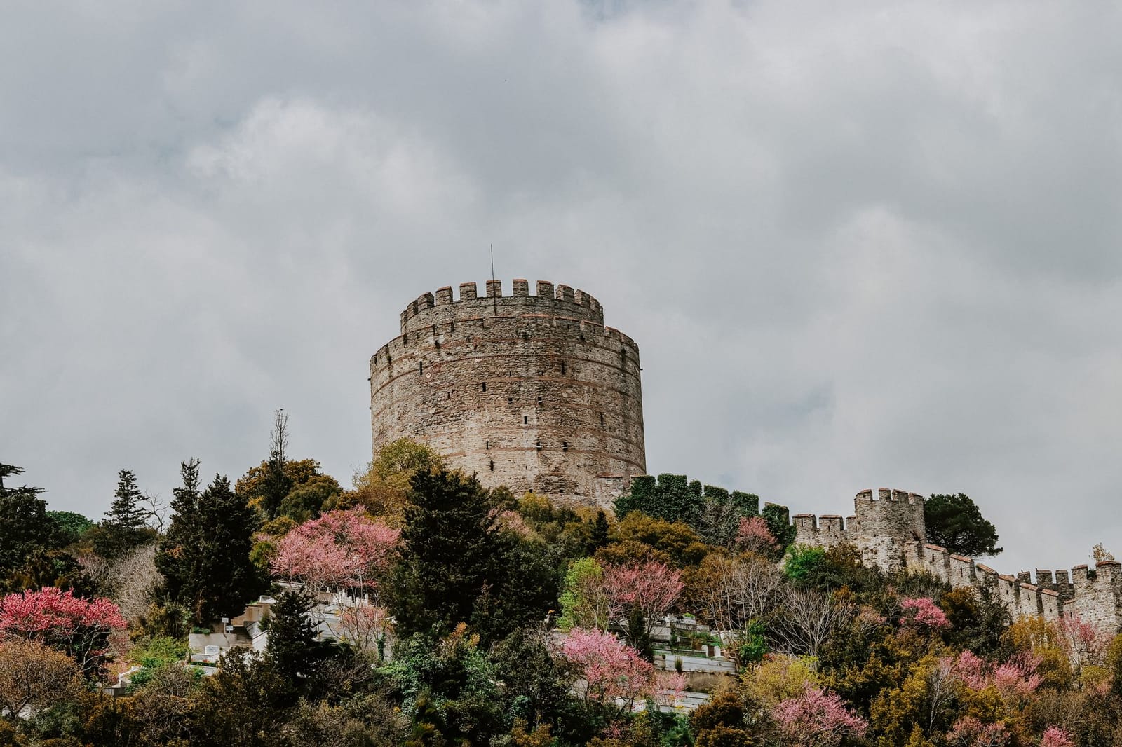 Torre de la fortaleza de Rumeli rodeada de árboles en flor durante la primavera.