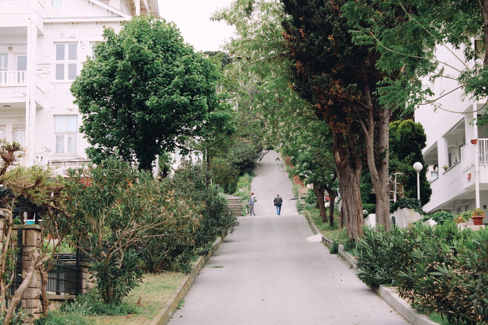 Calle empinada rodeada de árboles para realizar rutas a pie en la isla.